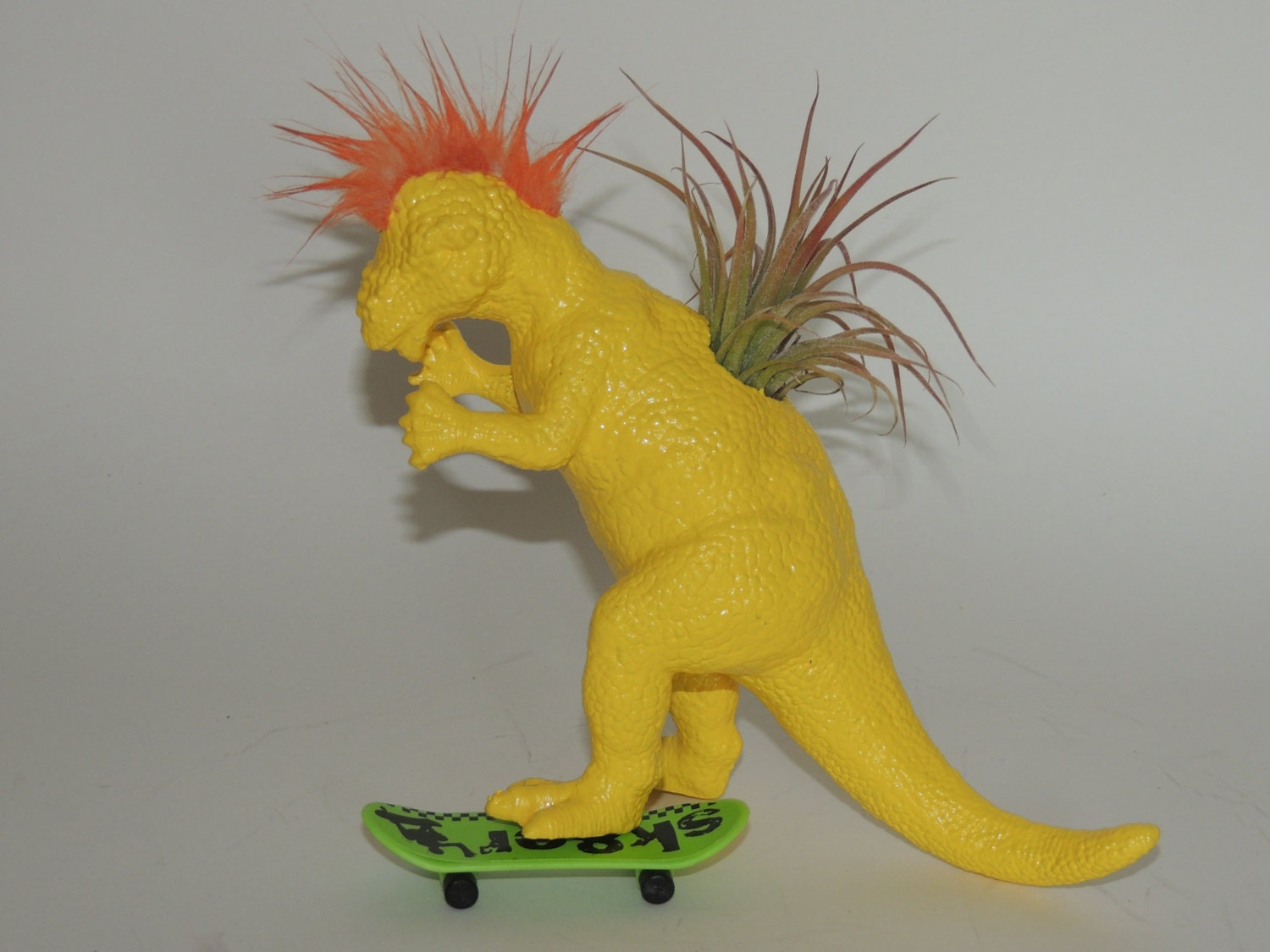 Max the punk dinosaur planter comes complete with air plant and skateboard.