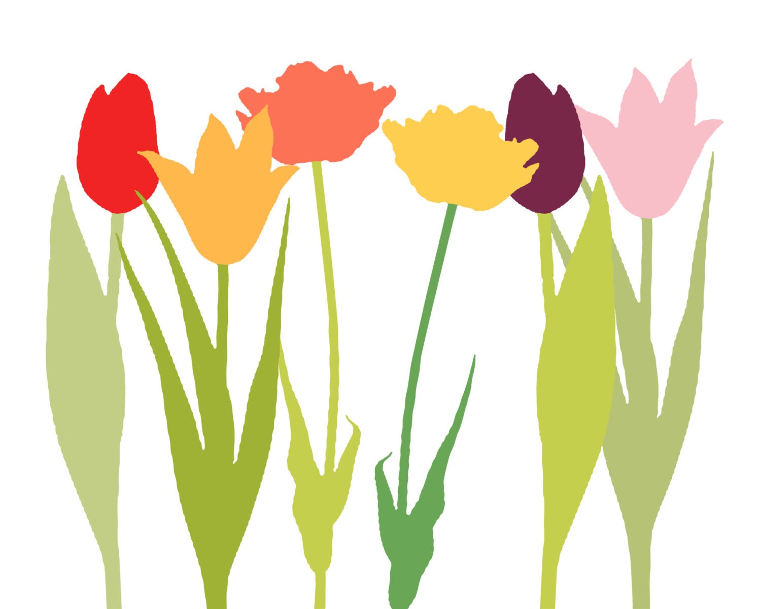 Spring Tulips