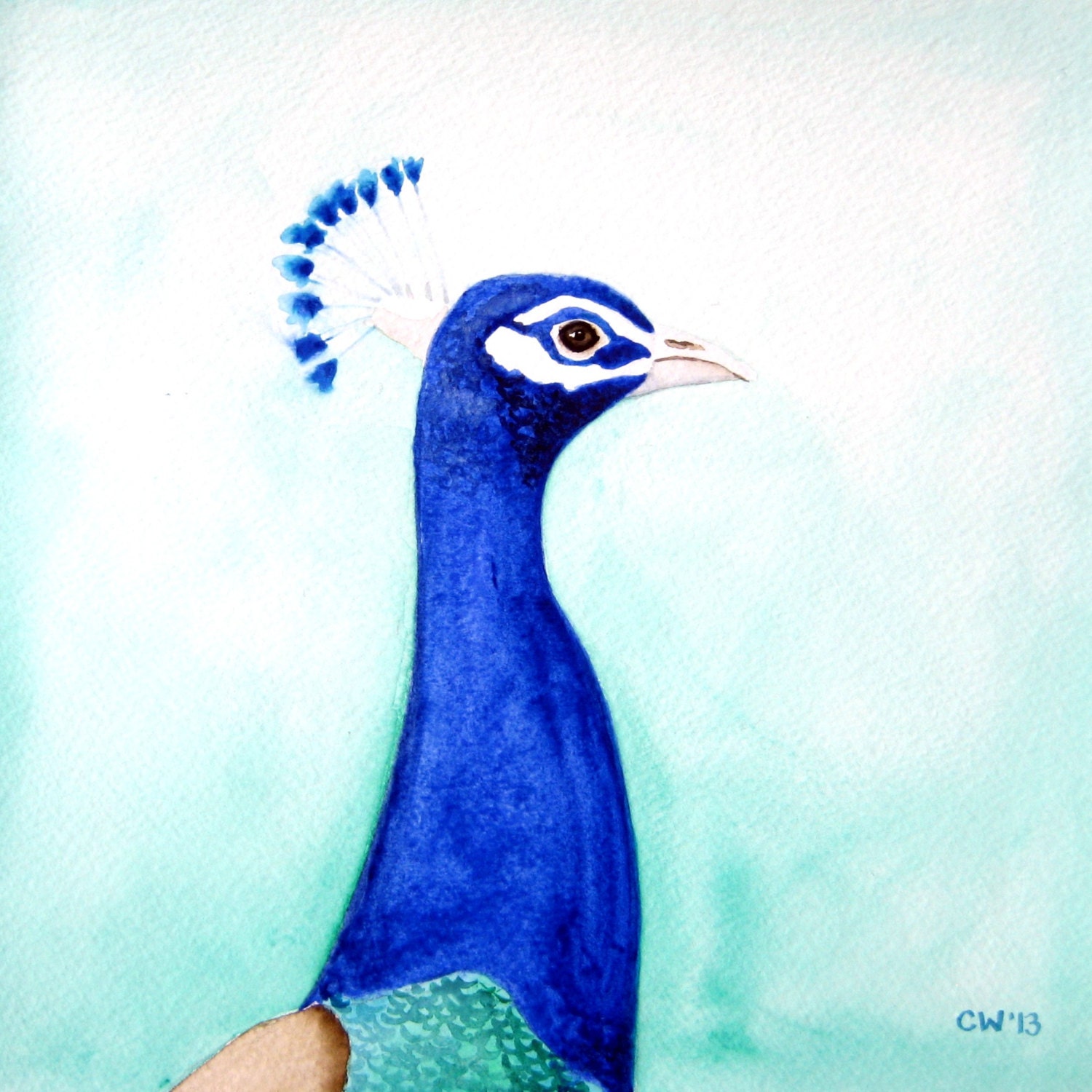 Watercolor Peacock - Original Watercolor Painting -bright blue peacock with blue green background