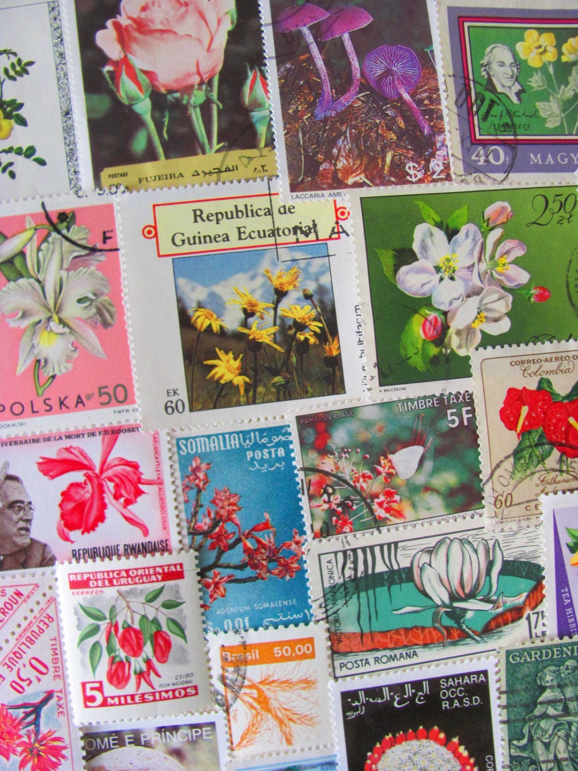 Miniature Botanical Garden 50 Vintage US Worldwide Postage Stamps Philately Fruit Flower Mushroom Vegetables Plants Horticulture Vegan 2