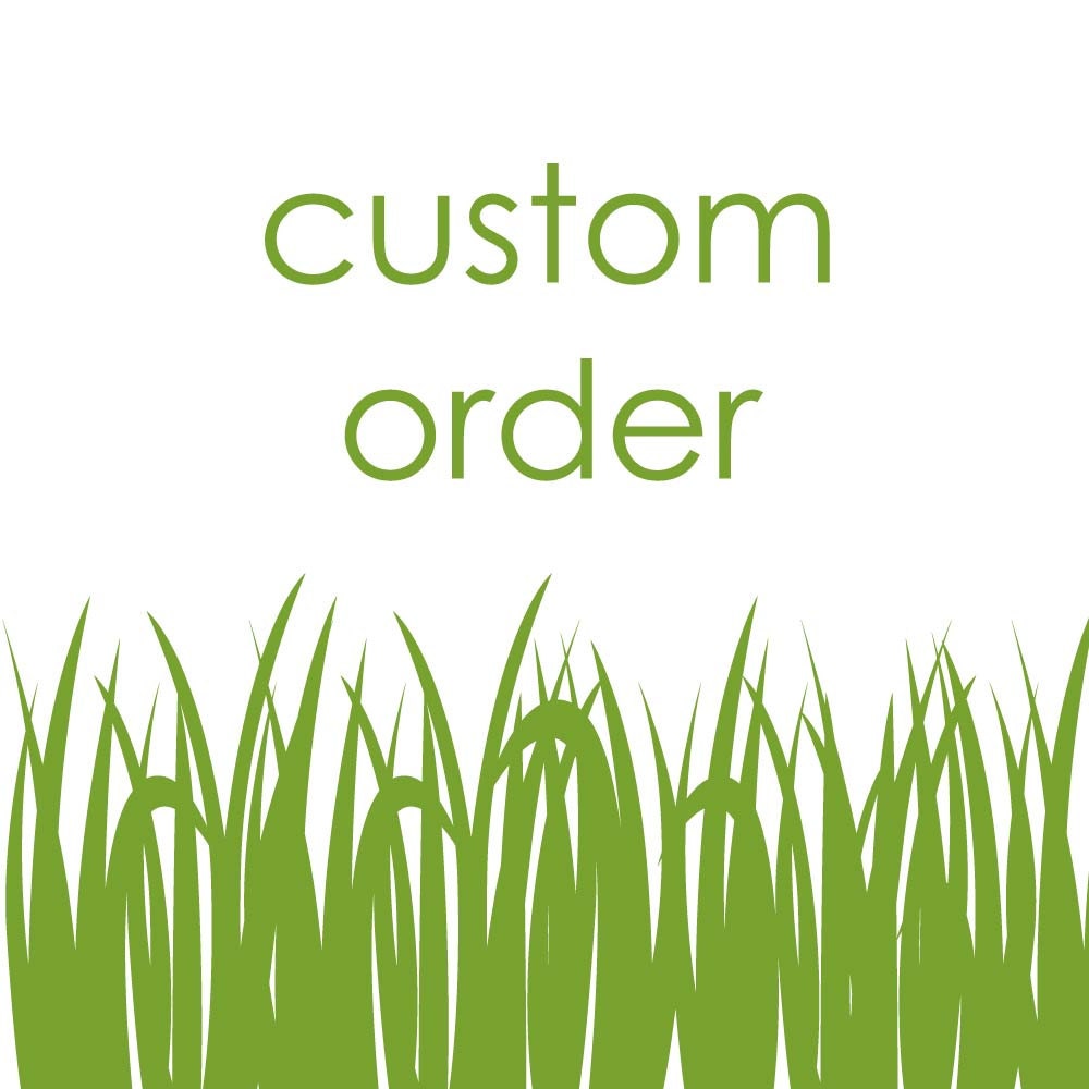 Custom Order for Caroline