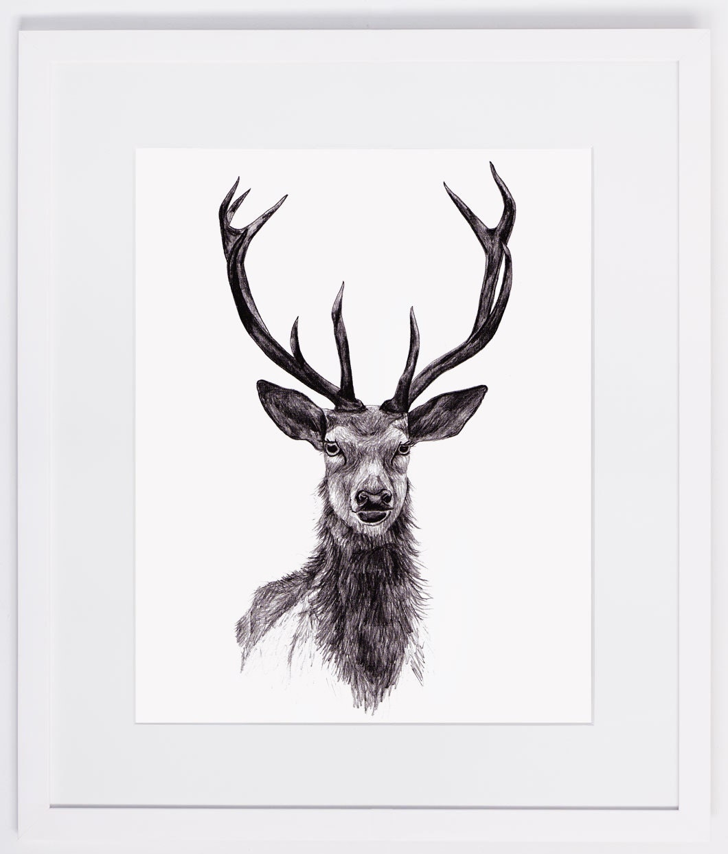 NZFINCH A4 stag head, deer, antlers,  digital print of original artwork