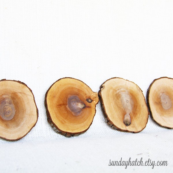Ironwood Coasters Set of 4