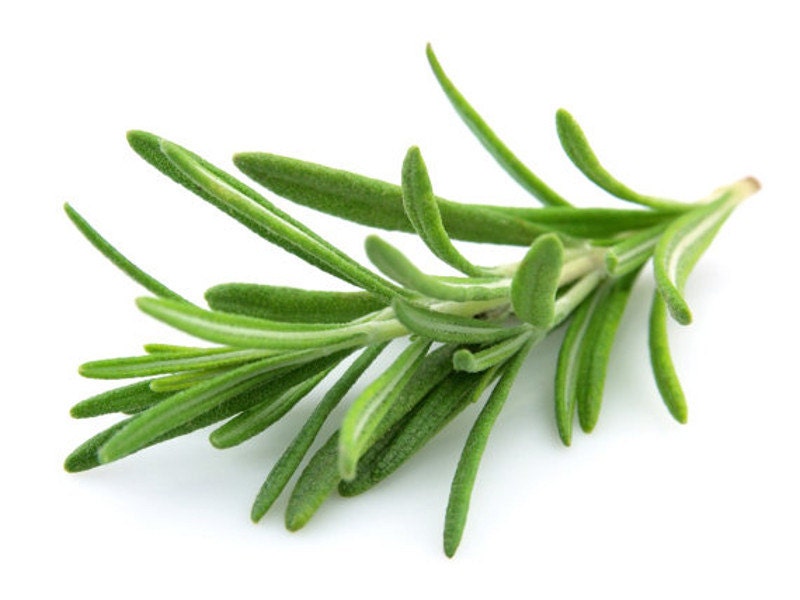 6 Rosemary Scented Candle Tarts Wax Melts 6 oz