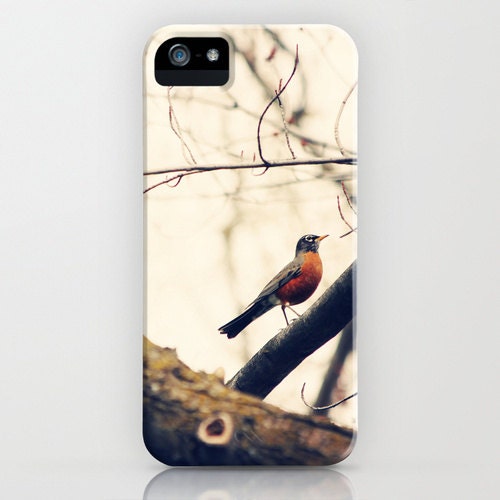 iPhone 5 Case Robin Red Breast bird photo