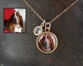 Custom Mini Pet Portrait