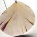 White Hibiscus Necklace - Real Flower Necklace - XXL - White and light pink - Real Pressed Petal
