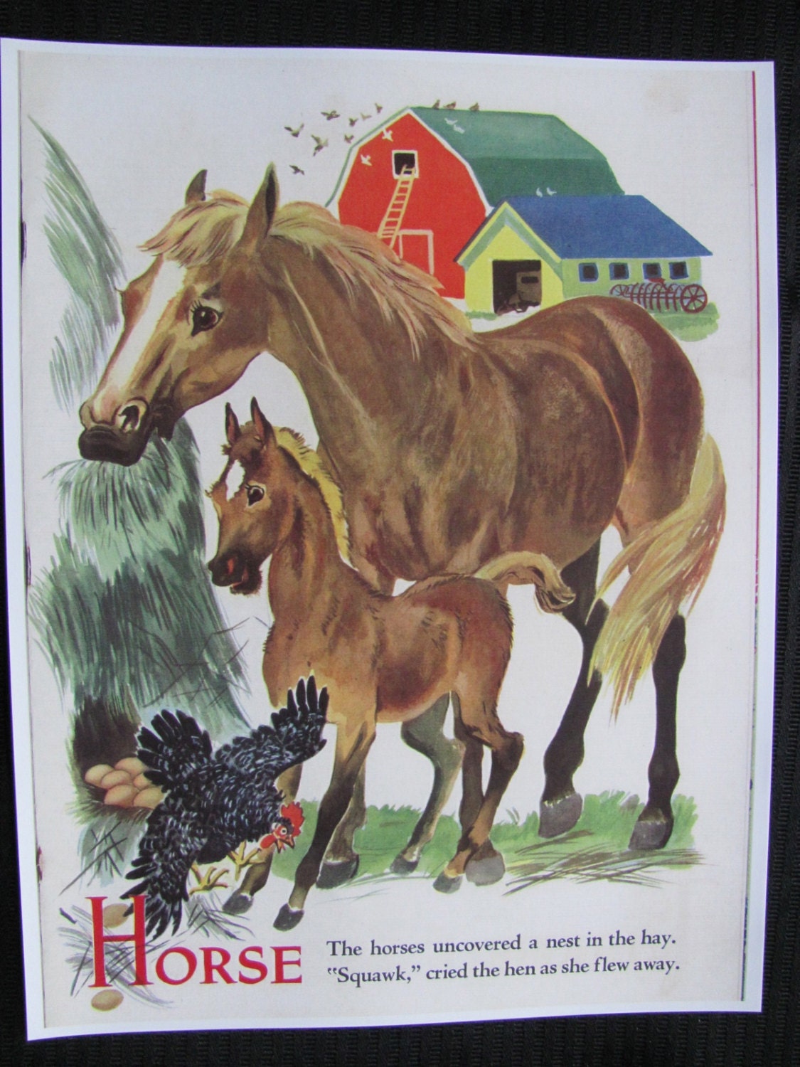 Colorful Illustrated Childrens Book Page - Poster Print - 8 x 11 - Farm Animals - Horse