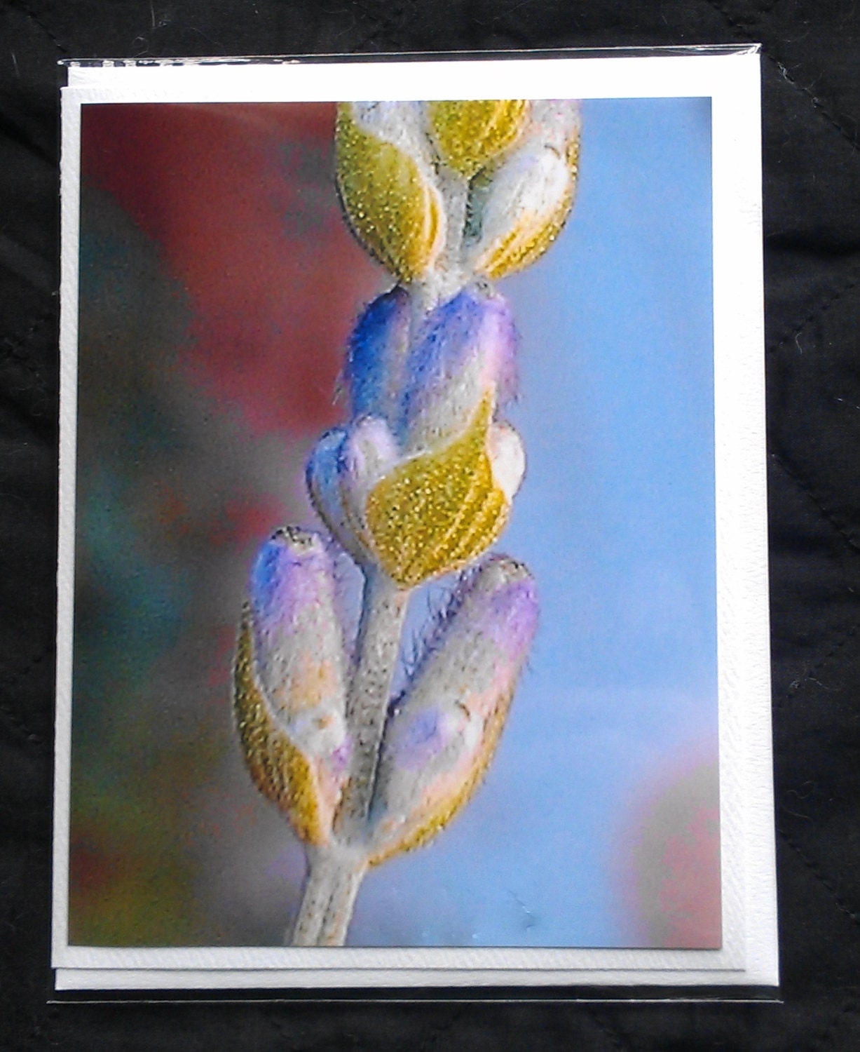 Close up of a lavender bud note card