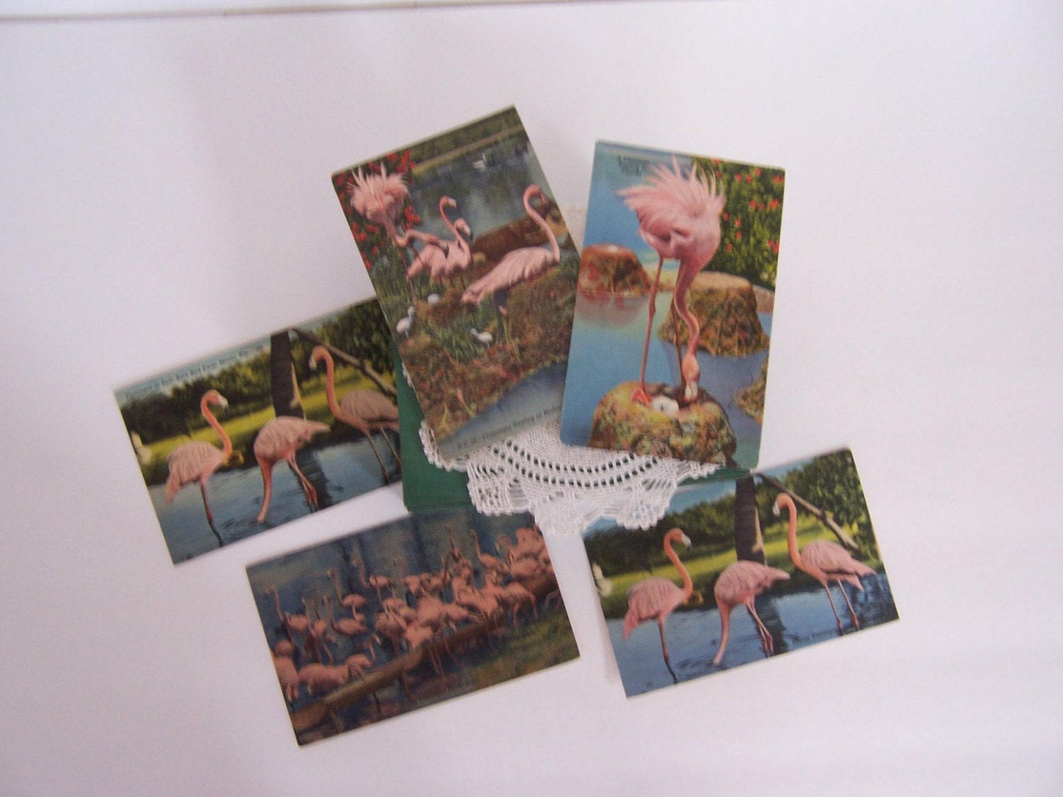 Vintage  Flamingo  Postcards - Vacation Travel  Ephemera - Five in Lot