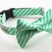 Bright Mint Stripes Dog Bow Tie Collar