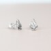 Arrowhead Earrings in Sterling Silver