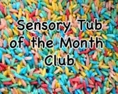 Sensory Tub of the Month Club - 3 Month Subscription