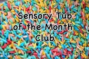 Sensory Tub of the Month Club - 3 Month Subscription