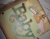 Pregnancy Journal New Baby Smash Book Baby Shower Scrapbook