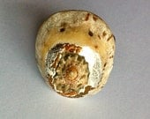Beachcombing - ring - 001