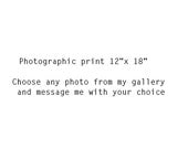 Custom Photograph 8"x 12"