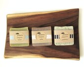 Dude Pack - 3 Pack of Soap for Men - Spearmint Tea Tree - Cinnamon Walnut - Peppermint Poppyseed - Vegan Soap made with Organic Ingredients
