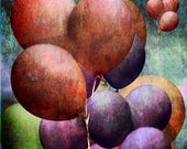 Helium Party Balloons No.0077 - A Fine Art Photograph