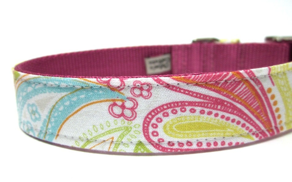Dog Collar- Tropical Floral Paisley