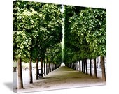 Paris Canvas - Parisian Home Decor - Ready to Hang Art - Green Trees Photograph - French Garden -  Symmetry - Elegant - Park - Calm