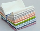 Architextures Fat Eighth Bundle of 18 by Carolyn Friedlander
