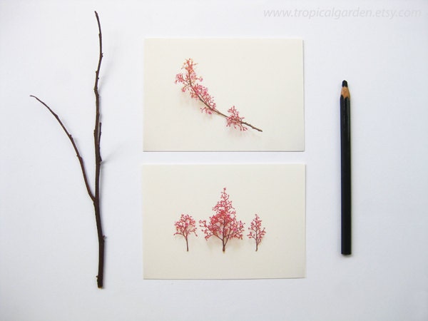 Printable Set of TWO Blank Cards - Photography-Botanic Collection NO.1