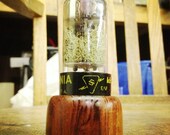 Oregon Steampunk Terrarium