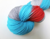 Enterprise on Snug- Hand Painted Sock Yarn