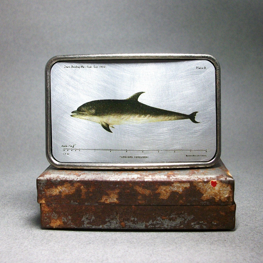 Belt Buckle Dolphin