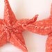 Coral Starfish:  Organic Lavender Sachets