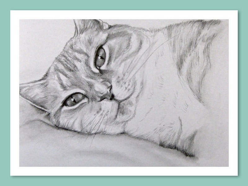 Custom ANIMAL Portrait Drawn From Your Photo