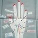 1970s Fortune Telling Palmistry Handkerchief - Vintage Fortune Telling Hankie - Steampunk Accessories