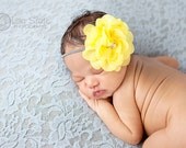 Baby headband, newborn headband, adult headband, child headband and photography prop The single sprinkled- Chiffon Rose  headband