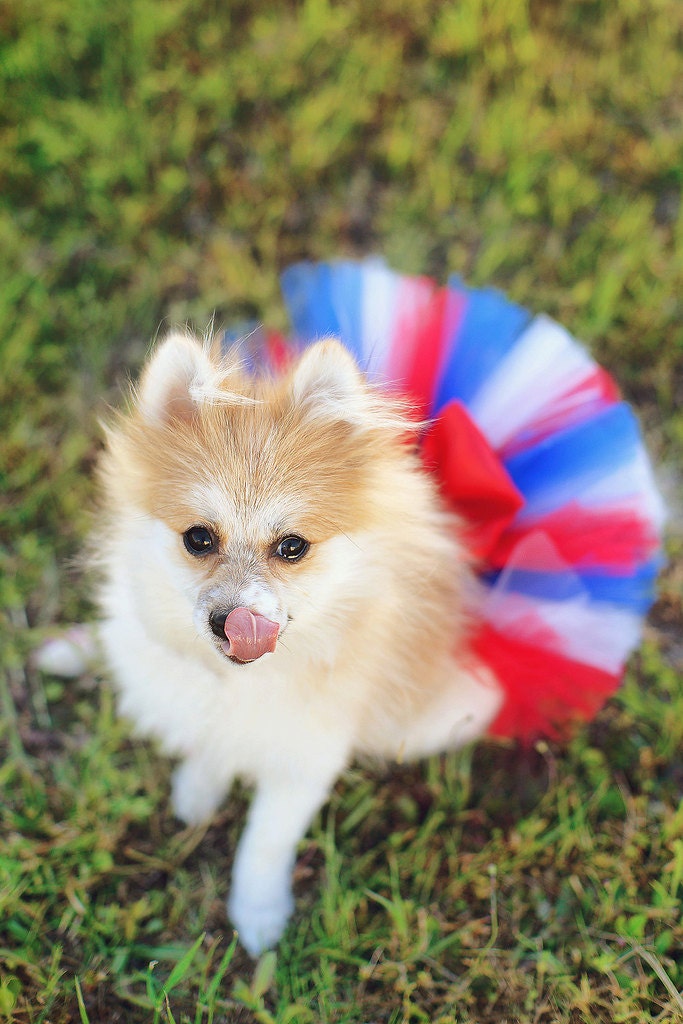 4th Of July Red White and Blue Super Fluffy Custom Dog tutu choose your colors SEWN Small to Large