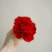 felted flower brooch red peony APRIL TANGO / made to order