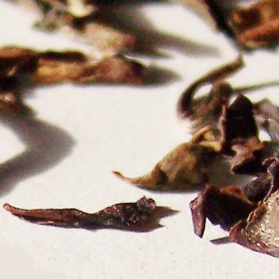ORGANIC English Breakfast loose leaf tea - - 2oz