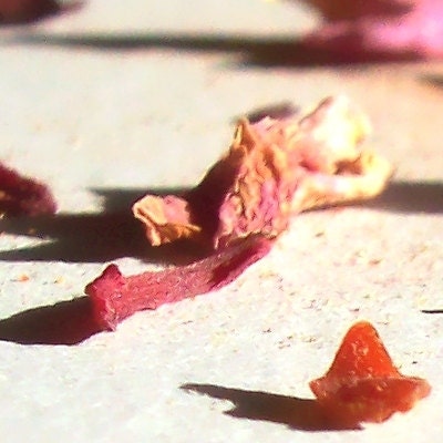 ORGANIC hibiscus loose leaf herbal tea - - 2oz
