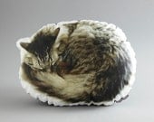 Sleeping Cat Canvas Printed Pillow
