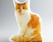 Lorenzo the Orange Cat Canvas Printed Pillow