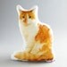 Lorenzo the Orange Cat Printed Pillow
