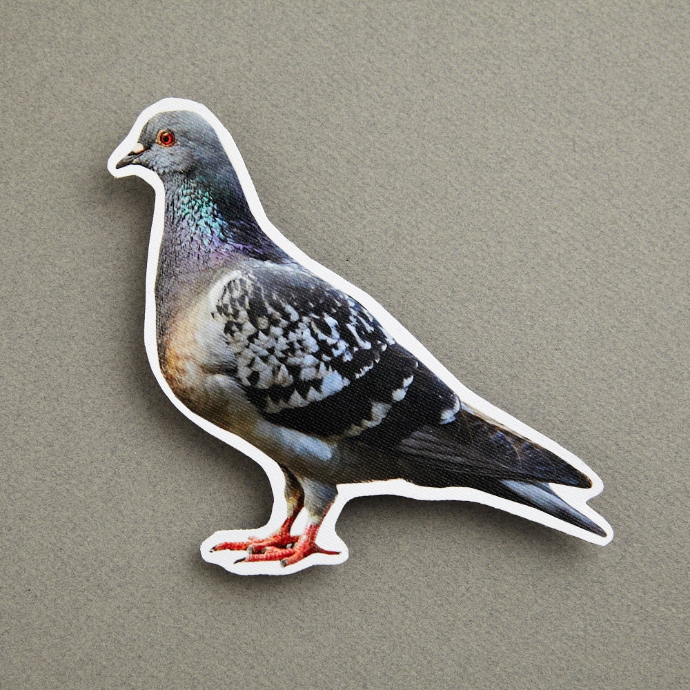 Pigeon Facing Left Photo Magnet