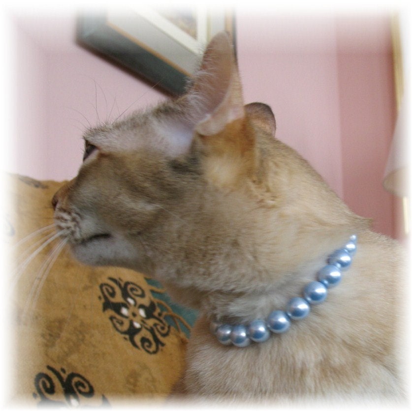 Pearl Cat Collar with Magnetic Safety Clasp