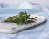 Rectangle white plate, platter