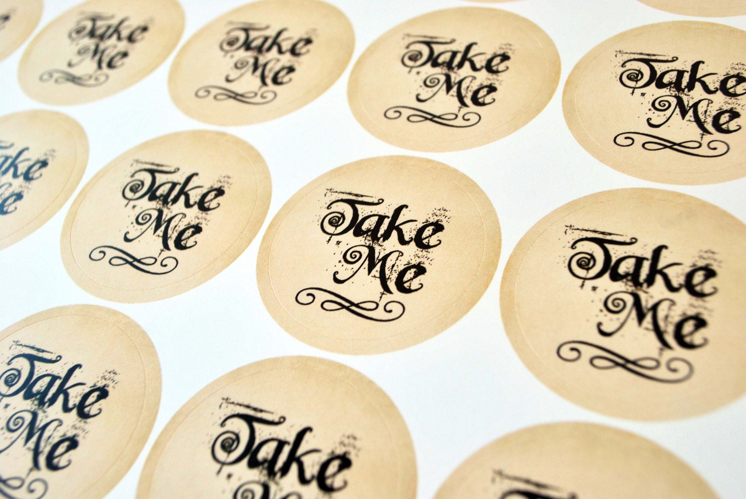Take Me Stickers, Alice in Wonderland Stickers, Gift Tag, Tea Party Stickers, Favors