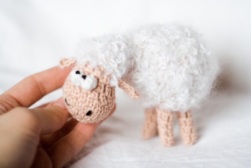 thoughtful sheep