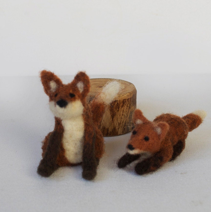 Two Foxes from the Woods Looking for a Home