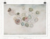 flower photography, dried poppies, nursery art decor