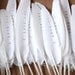 White Feather I Love You feather dove romantic sea green shabby chic wedding favors diy wedding decor wedding gifts mint green