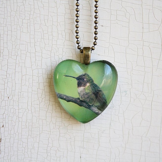 Glass Photo Pendant Necklace Heart Ruby Throated Hummingbird